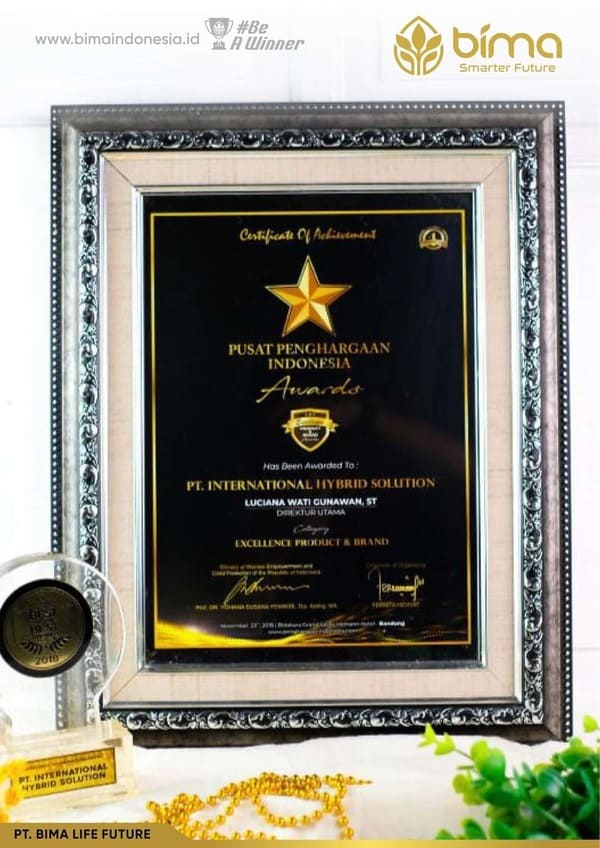 Penghargaan BIMA 2